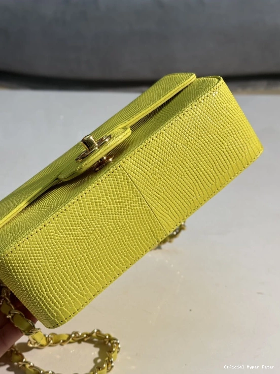 Hyper Peter BAG 20CM CHANEL FLAP 0725